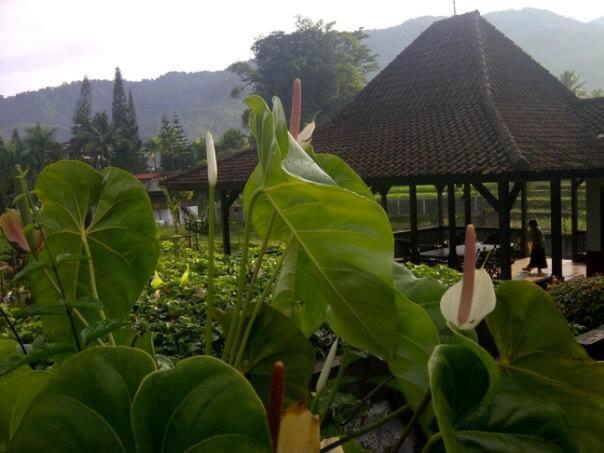 Grha Kasih Otel Bogor Dış mekan fotoğraf